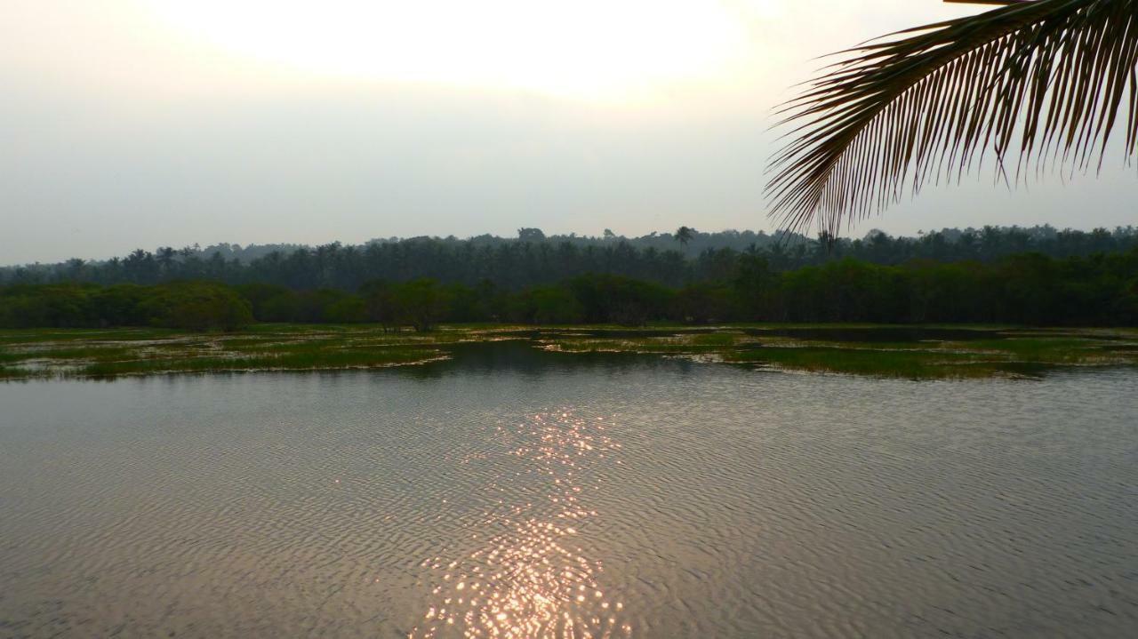 Ocean Green Kerala Kannur Exterior photo